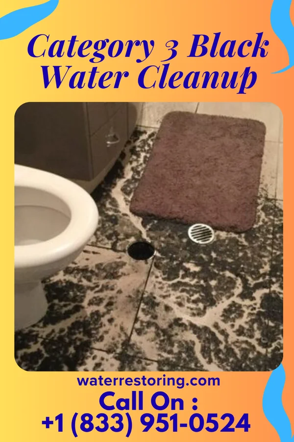 Category 3 Black Water Cleanup in South St. Paul, MN