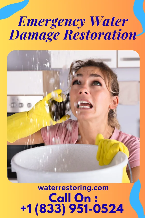 Emergency Water Damage Restoration in South St. Paul, MN