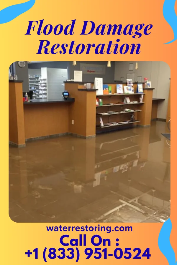 Flood Damage Restoration in South St. Paul, MN
