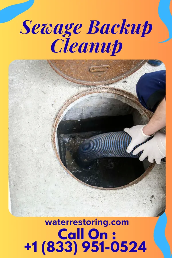 Sewage Backup Cleanup in South St. Paul, MN