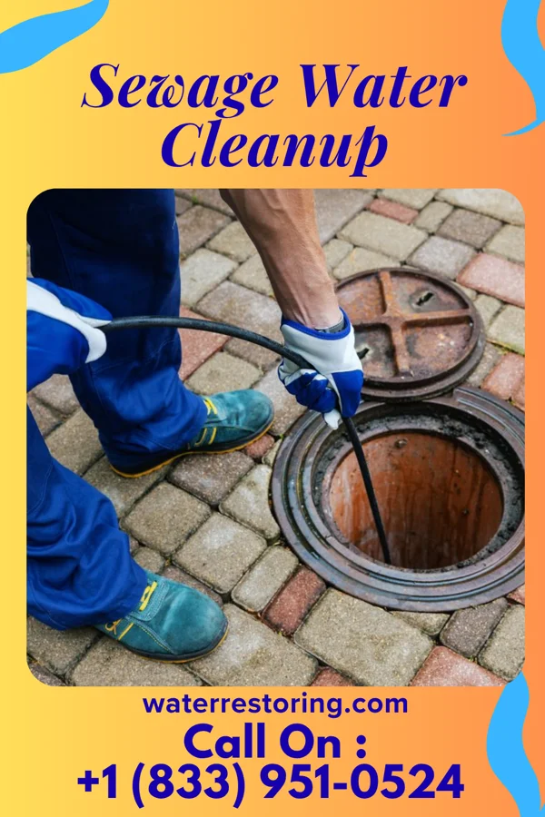 Sewage Water Cleanup in South St. Paul, MN