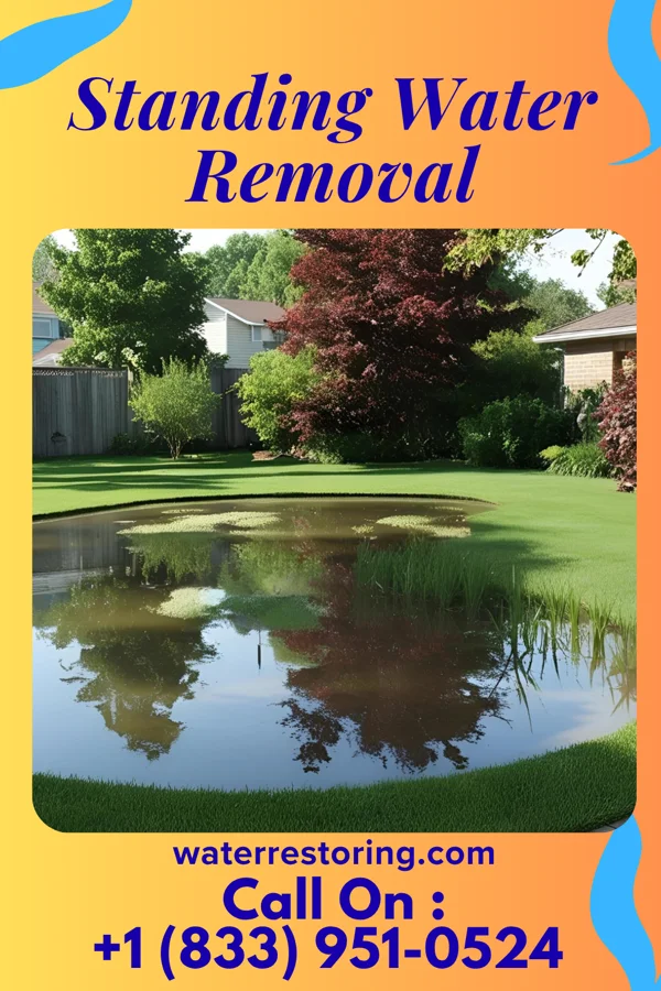Standing Water Removal in South St. Paul, MN